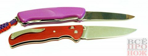 dsc_0701 десятисантиметровые НьюРейнджер и Табарган