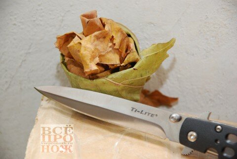 Cold_Steel_Ti-Lite_4_DSC_0706 осенняя роза