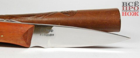 dsc_0103 маленький фуллтанг из Х12МФ