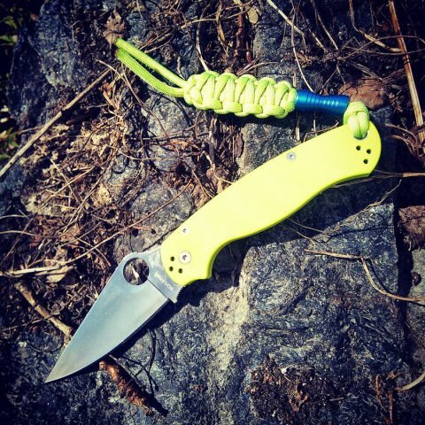 летние цвета